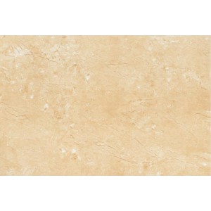 Gạch lát sàn Trường Thịnh TT96032